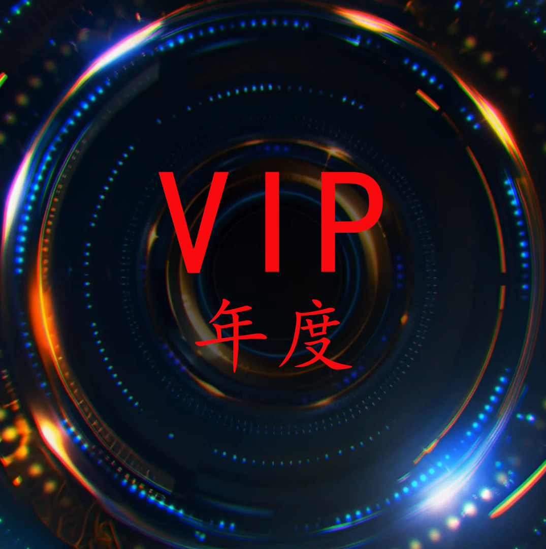 VIP年度资格